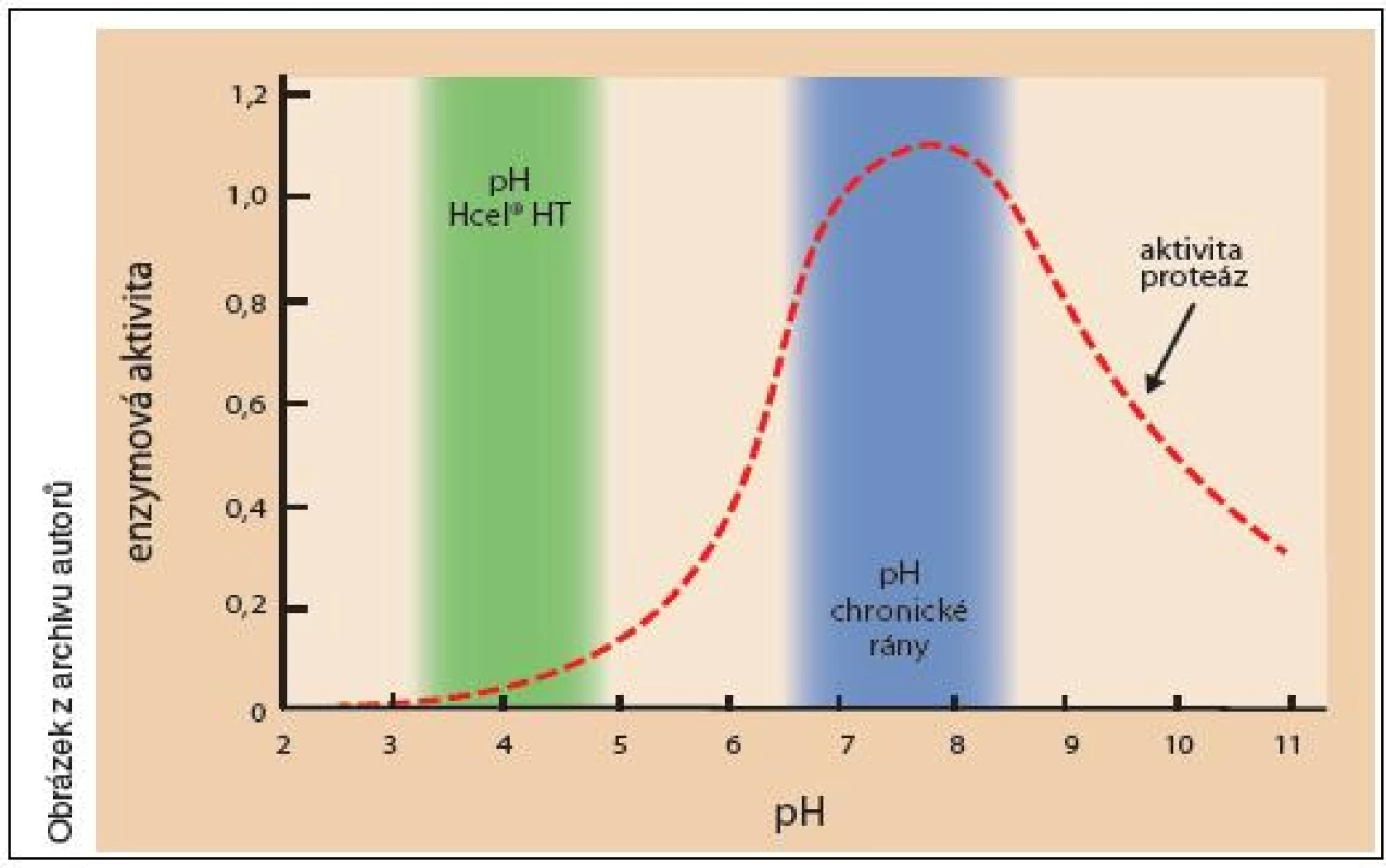 Vliv pH na aktivitu proteáz přítomných v chronické ráně (rozsah hodnot pH Hcel HT byl zjištěn při zkoumání in vitro na modelu rány)